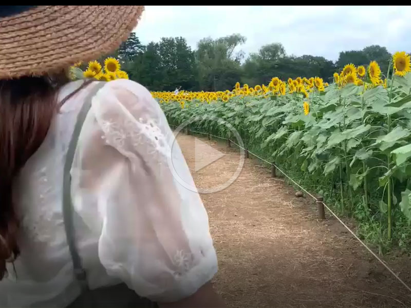 さえ